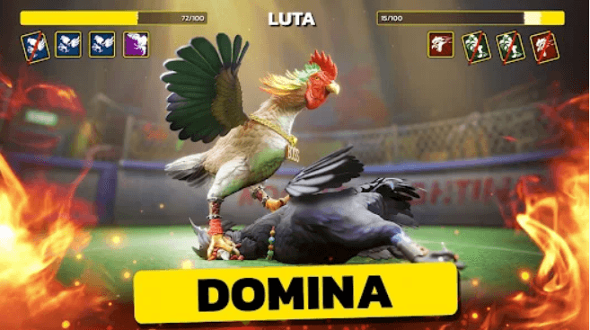 cc77 Plataforma Jogos Esports